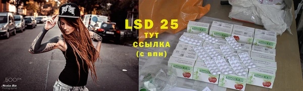 сатива Протвино