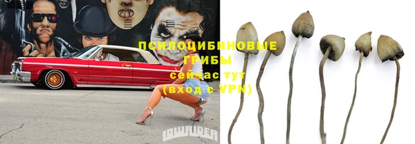 сатива Протвино