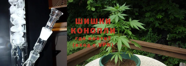 тгк Пролетарск